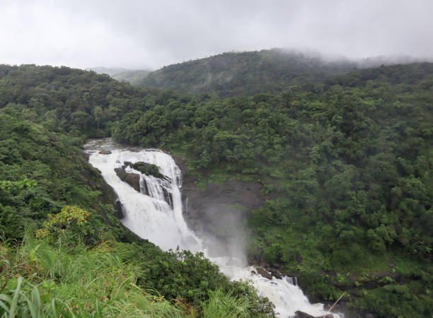 Coorg hills